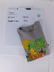Disney Lion King Shirt Mens Small Gray Simba Pumbaa Graphic Tee Tagless Movie