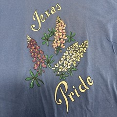 Vintage Single Stitch Texas Pride Blue Bonnet Tee Size XL