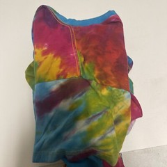 U.S. Coast Guard Rainbow Tie Dye Shirt Men’s Size XL