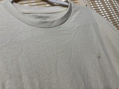 American Eagle Men’s Super Soft Lived In T-Shirt With Icon Size Large Cream