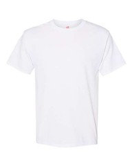 Hanes 5170 Unisex EcoSmart T-Shirt