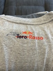 Red Bull Scuderia Toro Rosso Grey Jean Eric Vergne T-Shirt M F1 Formula One NEW