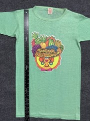 Vintage 70s Single-Stitch Graphic Art T-Shirt South Of The Border Iron On Green