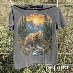 Vintage Bear Mountain Comfort Tee Graphic Shirt Nature Outdoors Wildlife Gift