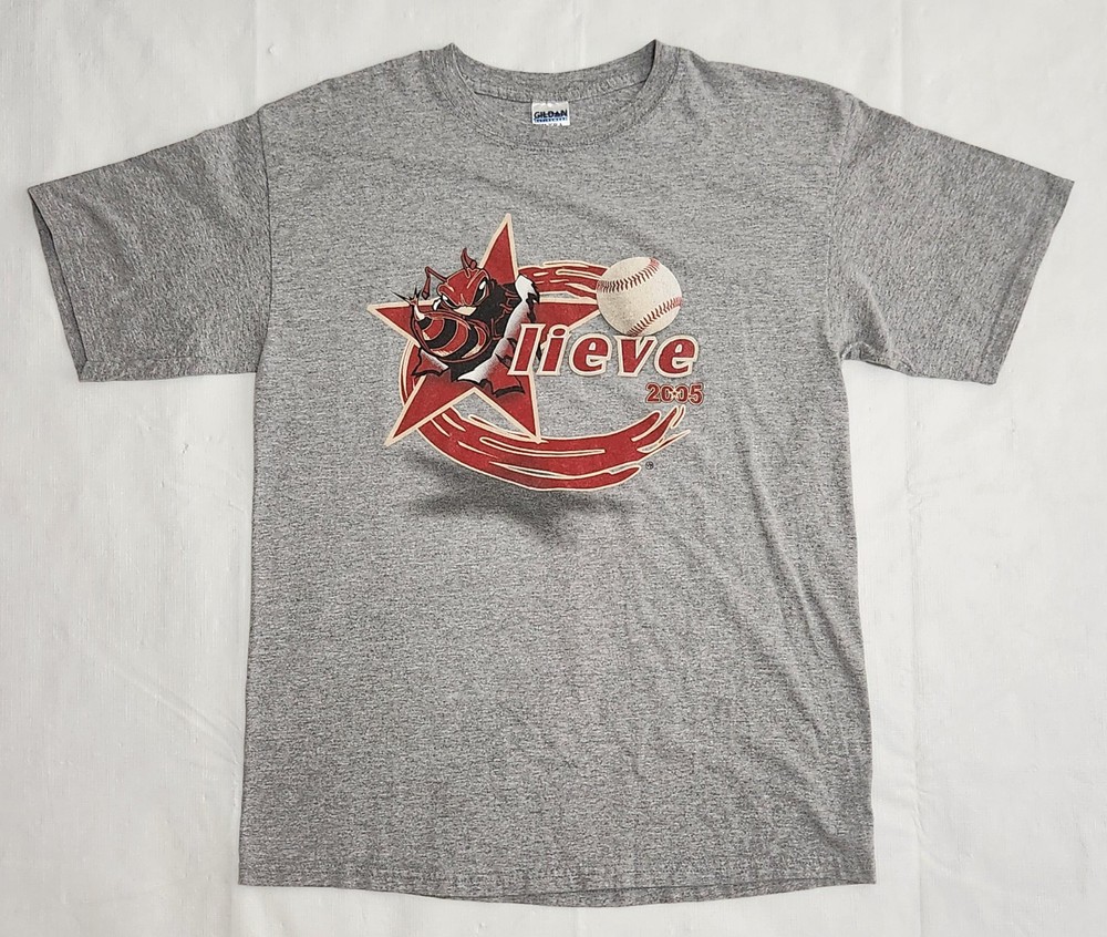 Vintage Houston Astros Y2K 2005 Playoffs Believe Killer Bee’s T-Shirt Size L