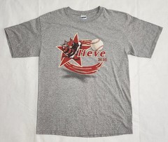 Vintage Houston Astros Y2K 2005 Playoffs Believe Killer Bee’s T-Shirt Size L