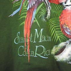 Vintage Tucan Tico Costa Rica Macaw Graphic T Shirt Size L Green New With Tags