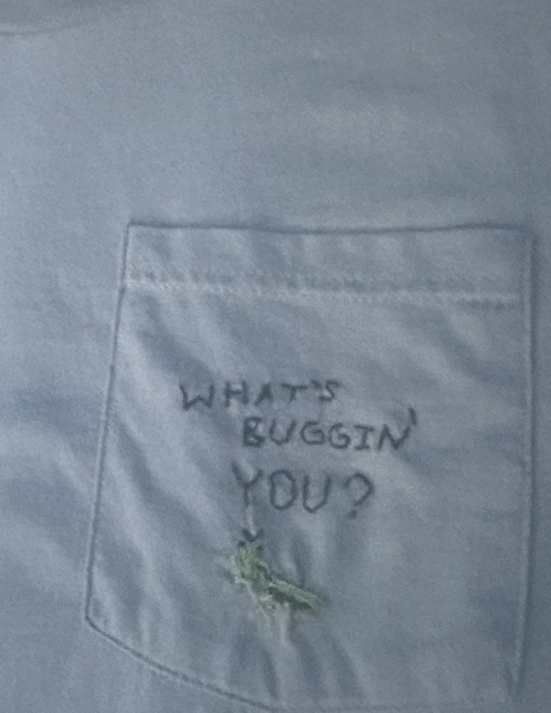 Fruit of the Loom beige t-shirt with embroidered grasshopper on pocket, size M