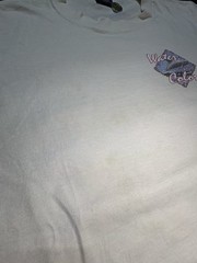 Vintage 90s Coral Reef Clownfish Art T-shirt Single Stitch Size XL Dirty Laundry