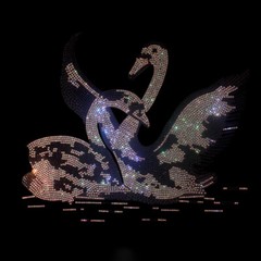 New Men Luxury Diamond Swan Rhinestones Fashion Black T-Shirt High Quality