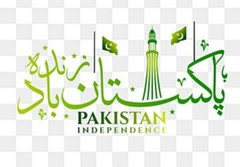 Pakistan independence day T-Shirt Crew Neck uni sex