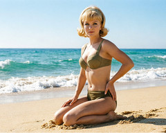 Debbie Reynolds 11×14 Photo – No white or black borders (30 Different Photos)