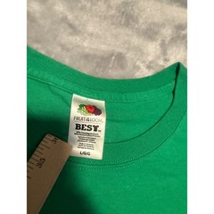 Fruit of the Loom T-Shirt Mens Large Green Bird Free Graphic Religious Quote