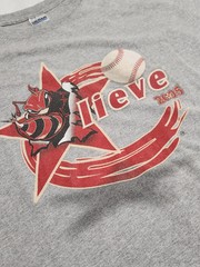 Vintage Houston Astros Y2K 2005 Playoffs Believe Killer Bee’s T-Shirt Size L