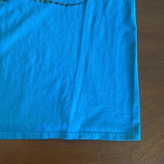 VTG Ron Jon T Shirt Surf Shop Iguana Panama City Beach FL Turquoise Green Large