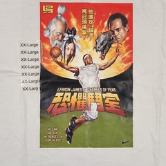 Vintage Nike Y2K LeBron James Shirt Mens 2XL White Chamber of Fear Kung-Fu 2004