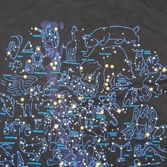 Vtg Y2K Discovery Channel Shirt Mens XL Double Sided Constellations Glows N Dark
