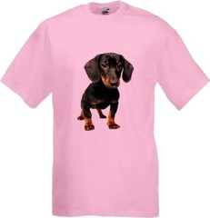 Dachshund Dog Pet Friend Family Novelty T Shirt Various Colours And Sizes