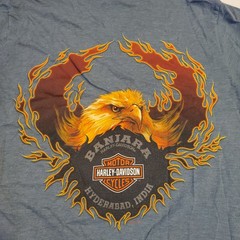 Harley-Davidson Hyderabad India Eagle Flame Wings T-Shirt Men’s Medium Blue Y2K