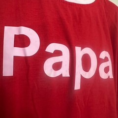 Papa Long Sleeve T Shirt Medium Gently worn 95% cotton / 5% spandex 22.5″ armpit