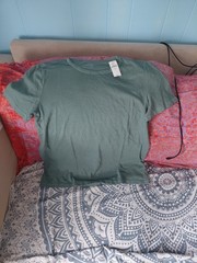 GAP Organic Cotton Men’s Solid Green Crew Neck Short Sleeve T-Shirt S Tall