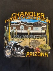 Vintage Harley Davidson Y2K Chandler Arizona T-Shirt Sz L