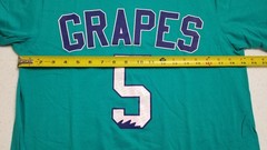 JORDAN V RETRO 5 GRAPES OUTFIT SHIRT + SHORTS SET EMERALD PURPLE RARE (MEDIUM)