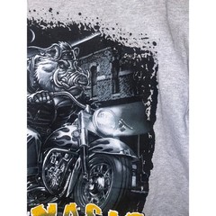 2009 Gildan Ignacio CO Colorado Hog Biker Graphic Gray Shirt Tee 2000s M Medium