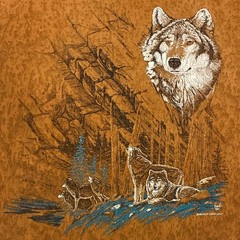 Vintage Nature Wolf T-Shirt Texas Mountain Short Sleeve Cotton XL Single Stitch