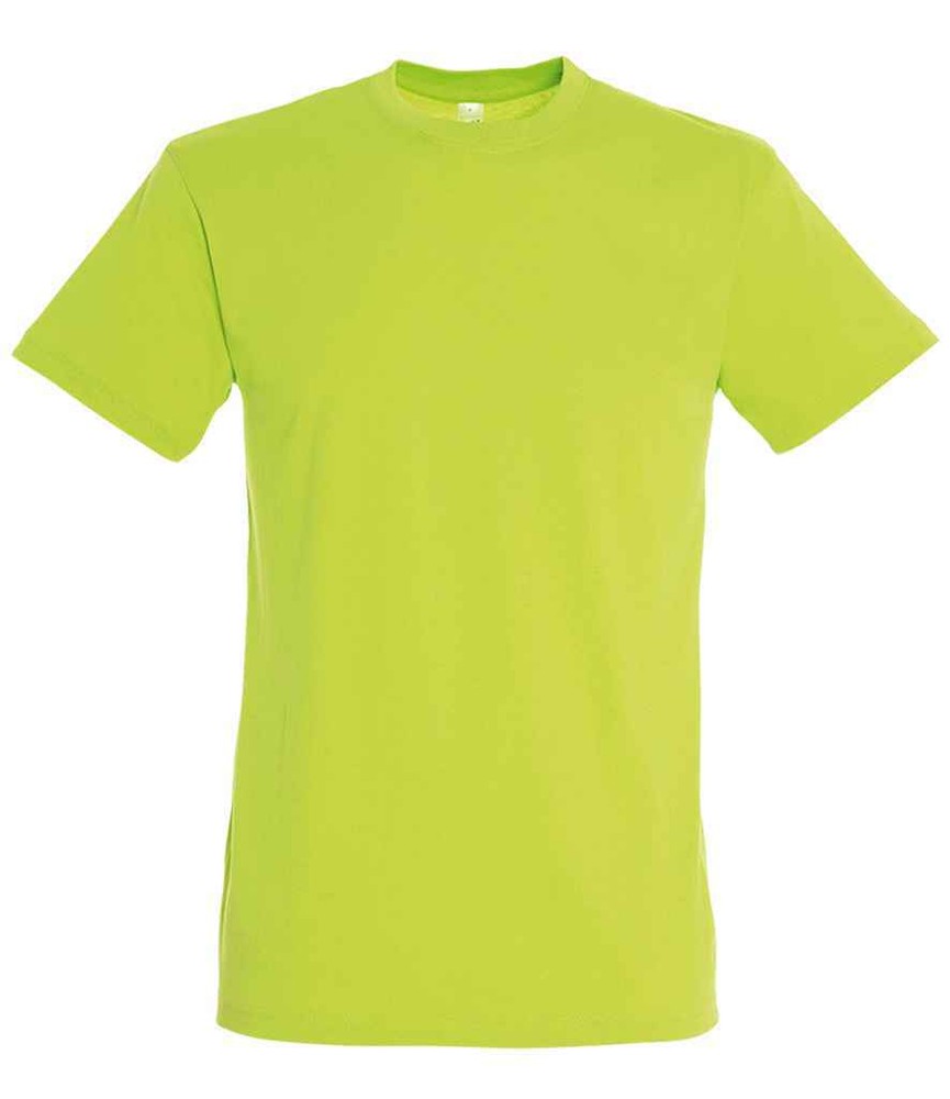 SOLs Mens 100% Cotton Plain Blank Tee Shirt t-Shirt t shirt 40 Colours S-5XL
