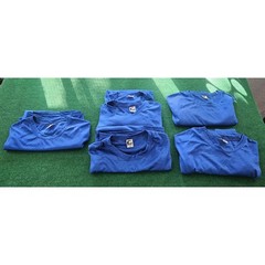 Lot of 6 Blue Performance T-Shirts Lot – Athletic Gym Bulk Sizes S M XL