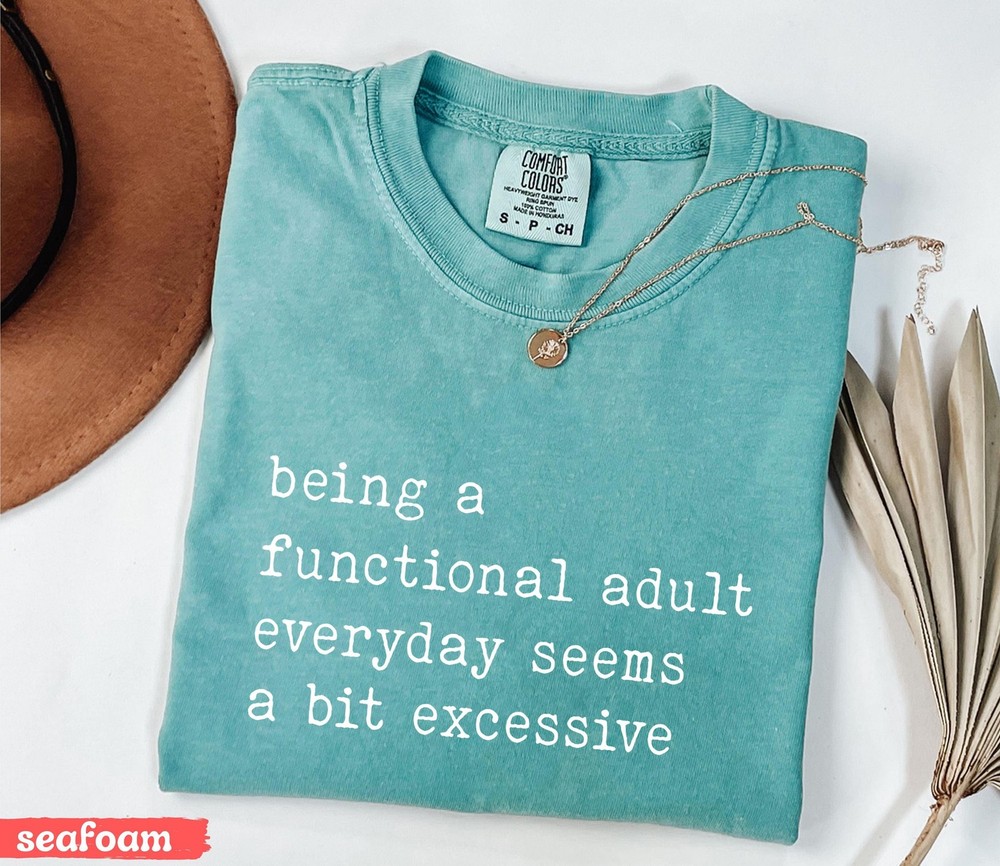 Being A Functional Adult Everyday Seems A Bit Excessive Funny T-Shirt