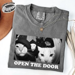 Funny Cat Gang Comfort Colors Shirt Sarcastic Cat Meme Tee