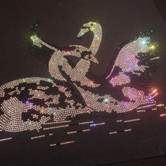 New Men Luxury Diamond Swan Rhinestones Fashion Black T-Shirt High Quality