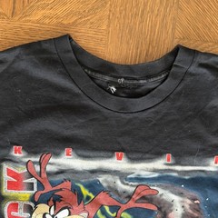 Vintage Kevin Harvick Taz NASCAR Racing Shirt Looney Tunes