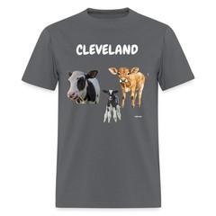 CAVS