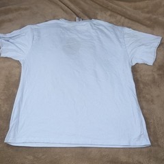 Peanuts Snoopy Woodstock Embroidered Graphic T-Shirt Light Blue XL