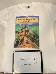 The Great Wall Of China tshirt