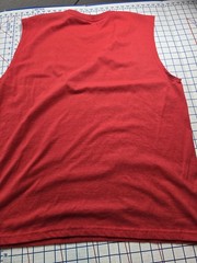Tru/Fit Men’s Gray AND RED Training Sleeveless Shirt Size 2XL USED GREAT SHAPE