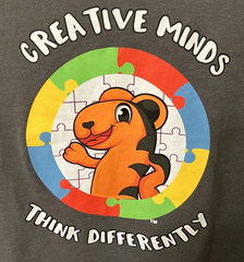 Autism Awareness T-shirt Creative Minds Think Differently Puzzle LS Men’s Sz 2XL