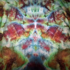 Quality Handmade Tie-dyed T Shirt 100% Cotton Unisex Large “Psychedelic Bloom!”