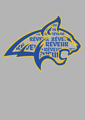 Rêveur Bobcat Profile Graphic Tee Gray Blue House System Youth RCA Dreamer