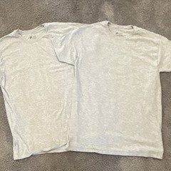 Hanes ComfortSoft Men’s Lot of 2 Gray Cotton Crew Neck Tagless T-Shirt XL