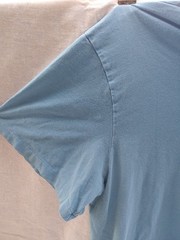 Polo Ralph Lauren Blue Teal Silver Horse T-Shirt, Men’s 2XB/2G Big and Tall