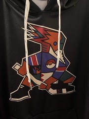 Tucson Roadrunners Kachina Alternate AHL Hockey Lace Hoodie L Large