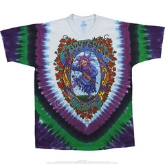 Grateful Dead Seasons Of The Dead Tie-Dye T-Shirt Liquid Blue