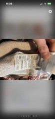Gucci Disney Sea storm.