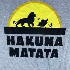 Disney Lion King Adult 2X Hakuna Matata Grey Graphic Tshirt Timon Pumba Simba
