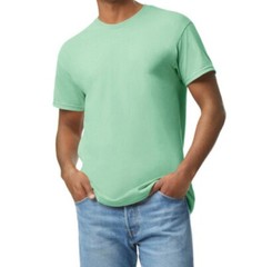 NEW First Quality Gildan Heavy Cotton Mint Green Adult Short Sleeve Tee, Size L.