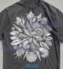 Old School Seashells Ammonite Comfort Tee